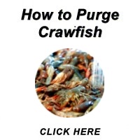 How to Purge Crawfish