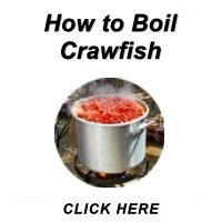 How to Boil Crawfish